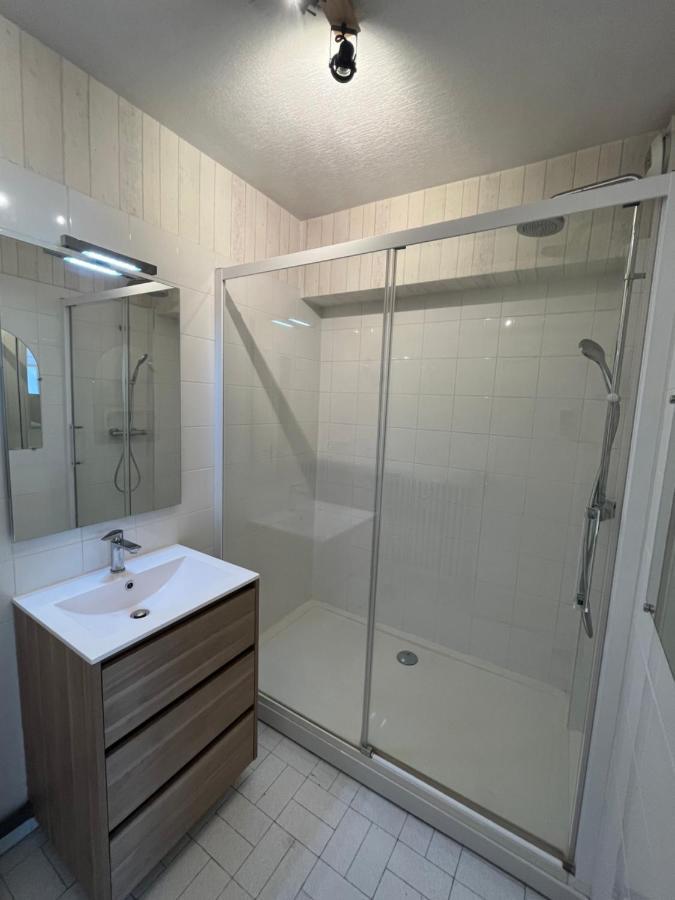 Appartement Cosy Gare St-Etienne Saint-Etienne  Dış mekan fotoğraf